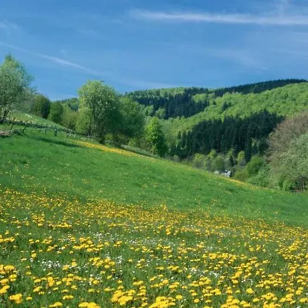 Station touristique Typ Dachsbau Schmallenberg