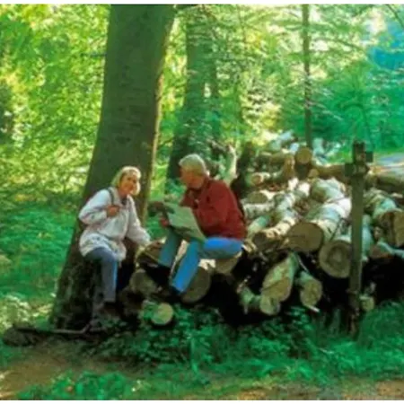 Typ Dachsbau * Шмалленберг