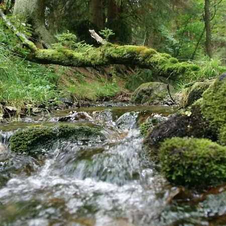 Typ Dachsbau Шмалленберг