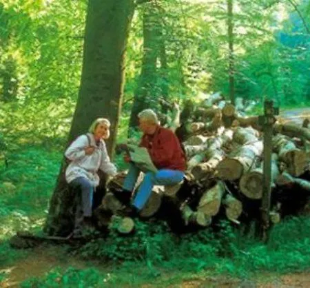 Θέρετρο Typ Dachsbau