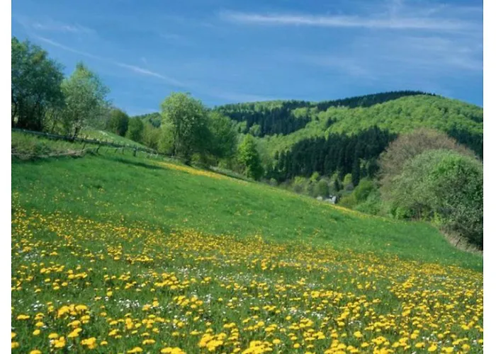 Resort Typ Dachsbau Schmallenberg